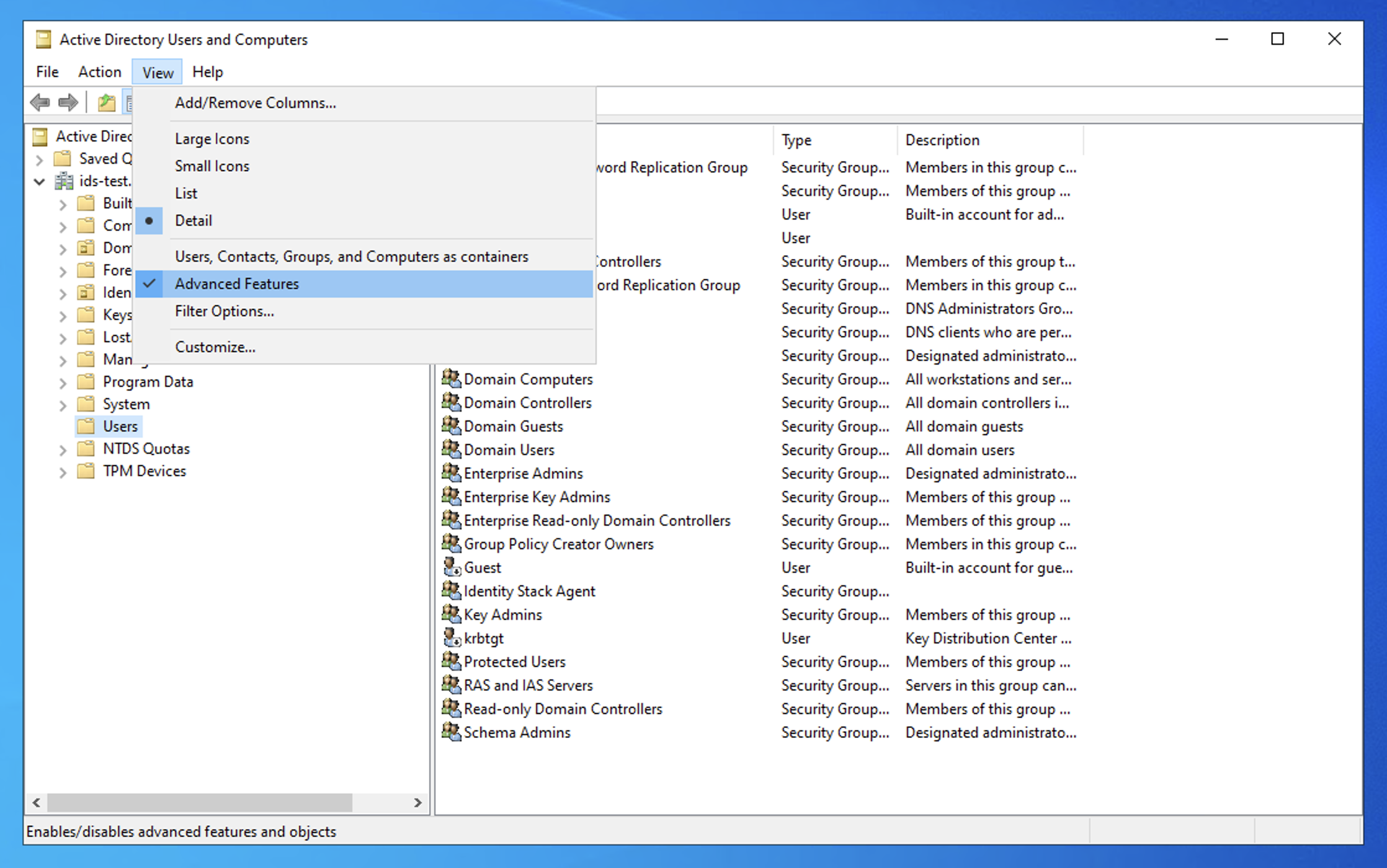 Advanced Features in the View menu